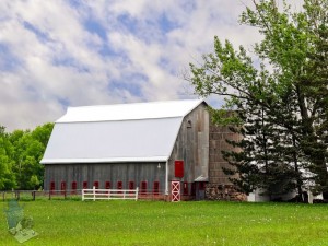 Red Framed Windows Barn