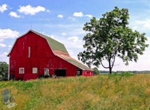 Aged Barn
