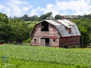 Battered Barn