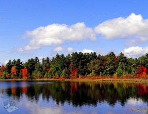 Fall Reflections