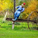 Old Hay Dump Rake
