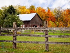 Signs of Autumn