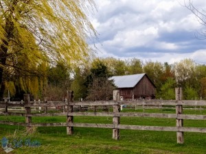 Springtime Barn