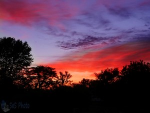 Sunday Sunset
