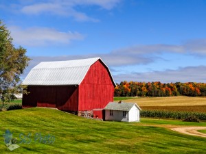Autumn Colors
