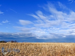 April Fool's Day Thunder