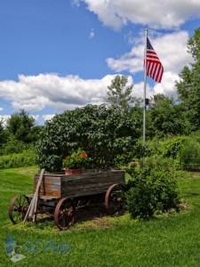 Flag Day