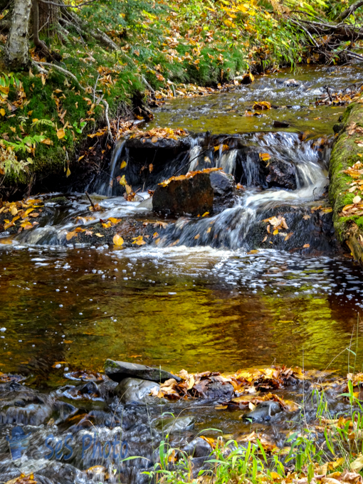 Golden Water