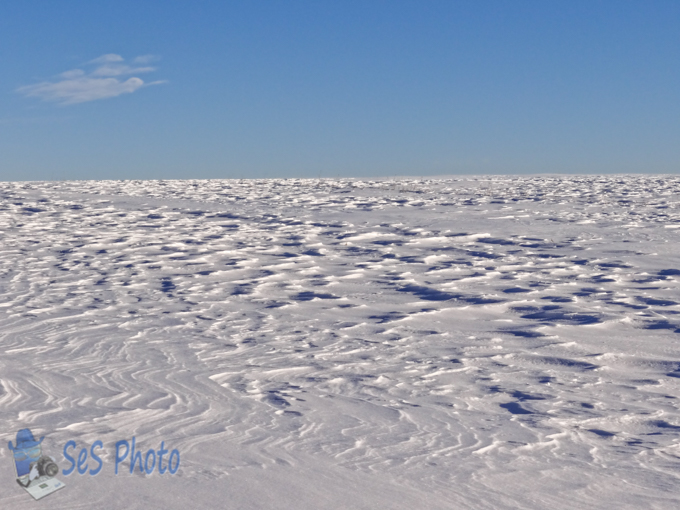 Snow Waves