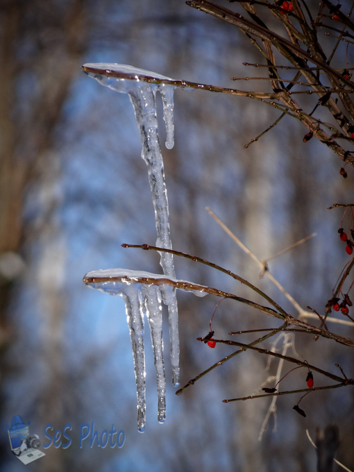 Ice Forming