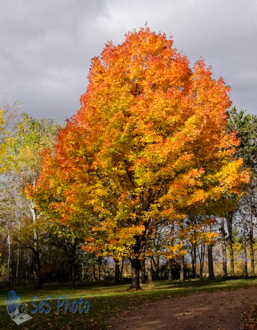 Color Before the Rain