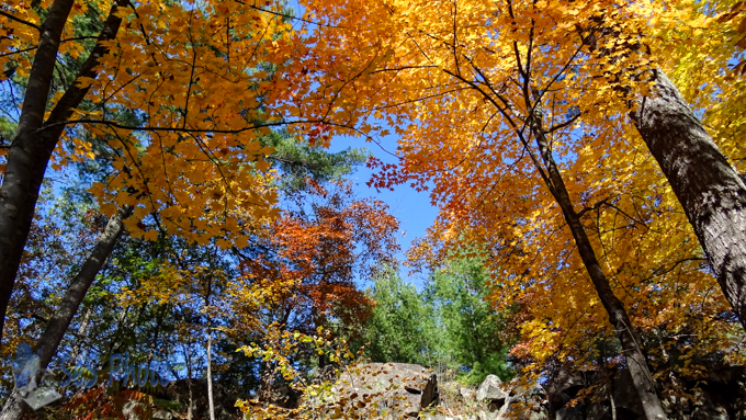 October Autumn View