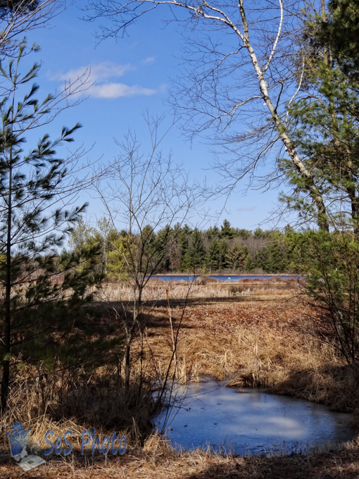Before the Snow