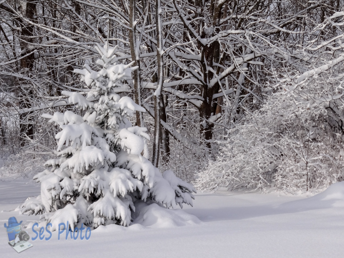 Winter Will Return Too Soon
