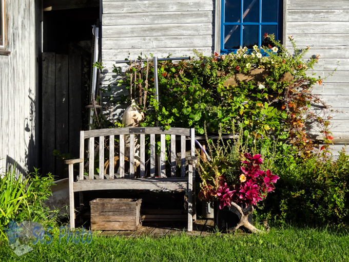 Sunshine Seat