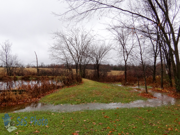 Fall Overflowed