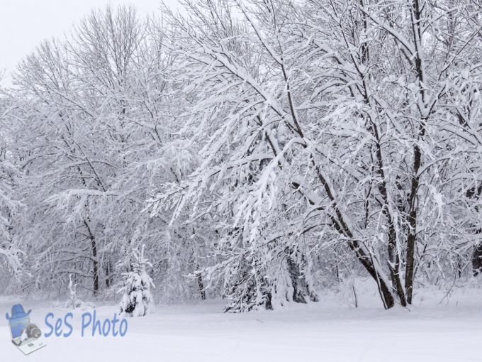 May Snow Storm
