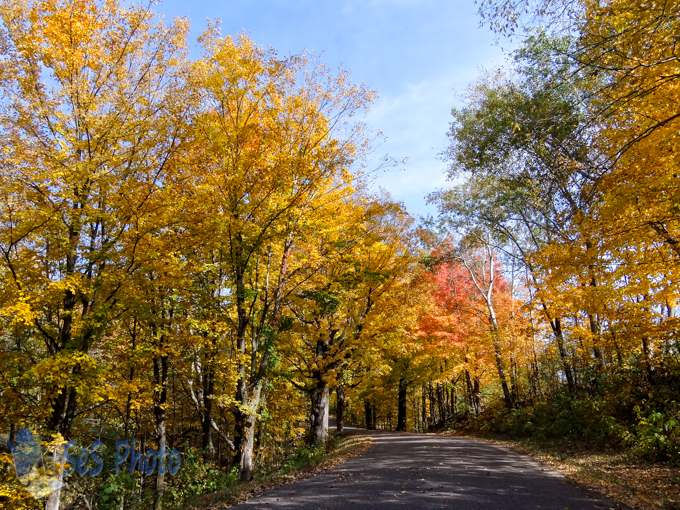 Autumn Road Trip