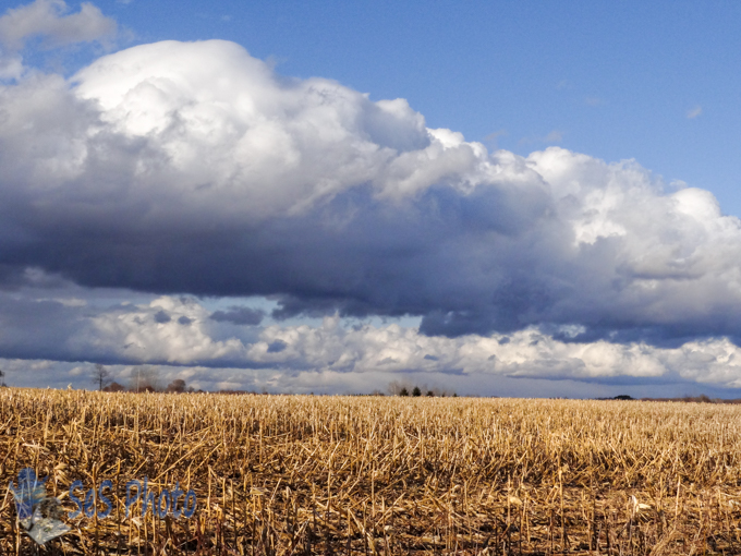 Stormy Clouds