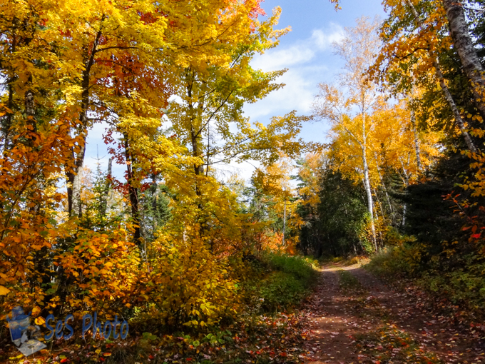 Trip Down Autumn Path